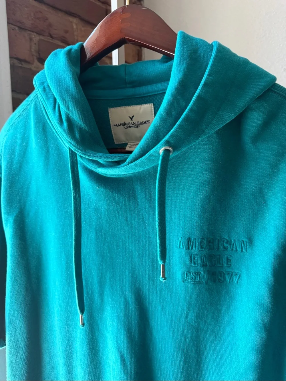American Eagle Teal Embroidered Logo Short-Sleeve Hoodie
